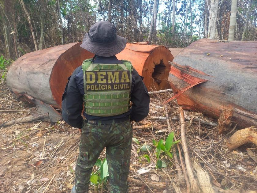 Polícia Civil deflagrou 24 operações de enfrentamento a crimes ambientais em MT