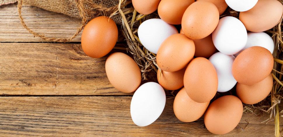 Preços dos ovos foram recordes em 2023