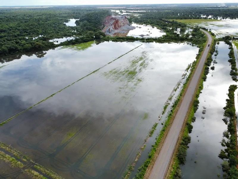 AGRONEGÓCIO GAÚCHO AINDA NÃO CONSEGUE MENSURAR TAMANHO DOS PREJUÍZOS CAUSADOS PELA CHUVARADA